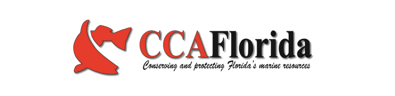 Background logo of CCA Florida