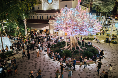 Photo of the Wishing Tree at Rosemary Square 